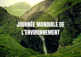 Journée mondiale de l'environnement célébrée le 5 Juin de chaque année